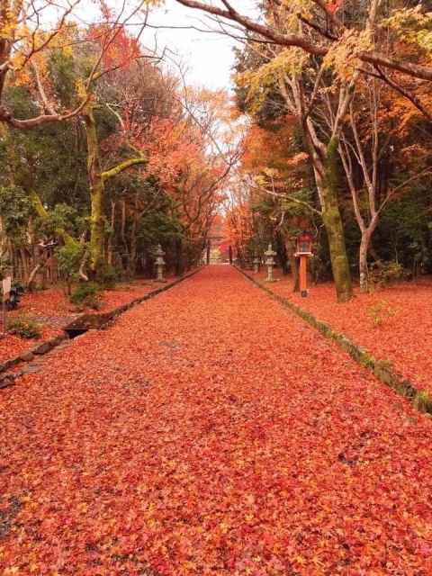 大原野神社の概要